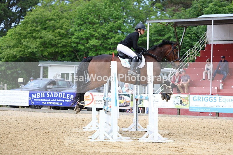 3E7A7103 - Class 7: Senior Newcomers/1.10m open