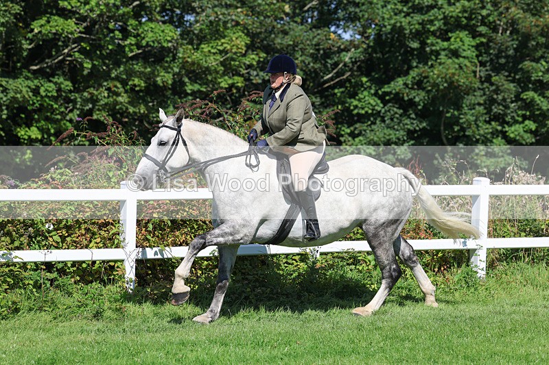 3E7A8423 - Class 4: Novice working Hunter