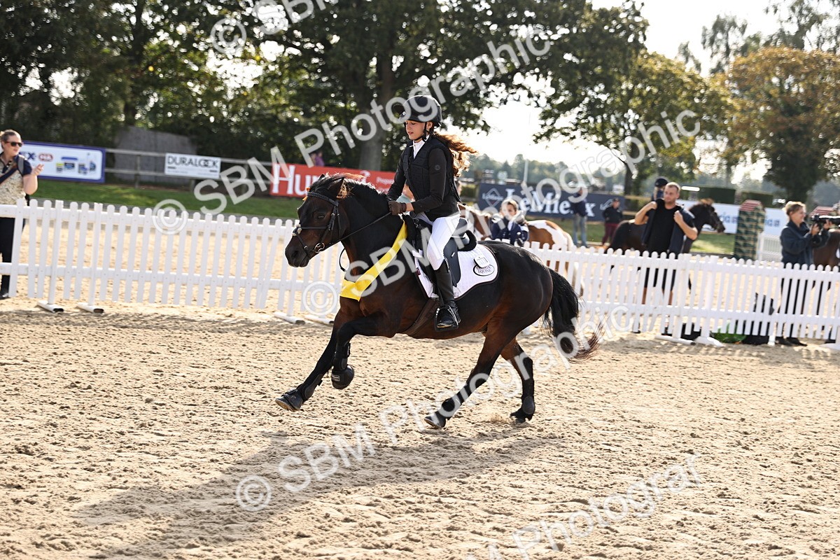 SBM_59793 - J11 - Junior Pony 50cm Championship