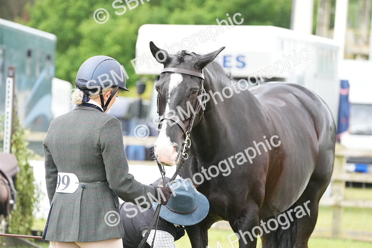SBM_12738 - Class 97-98 - LIHS BSHA Rising Star Working Show Horse Hunter