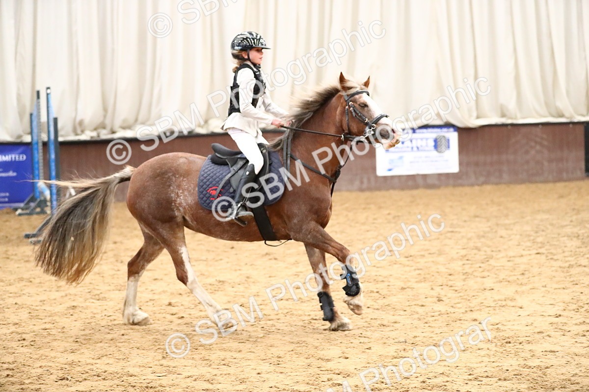 SBM_001081 - Class 3 - 50cm