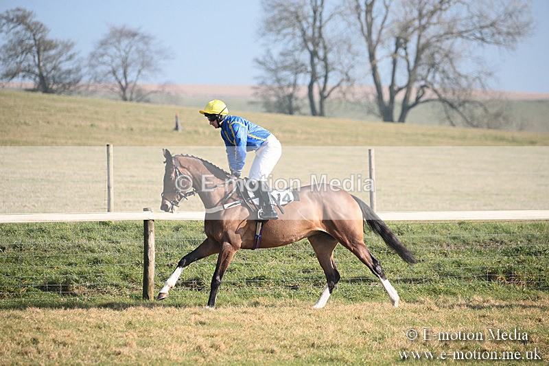 PtP 230219 128 - Vine & Craven Point-To-Point - Barbury 23/02/19