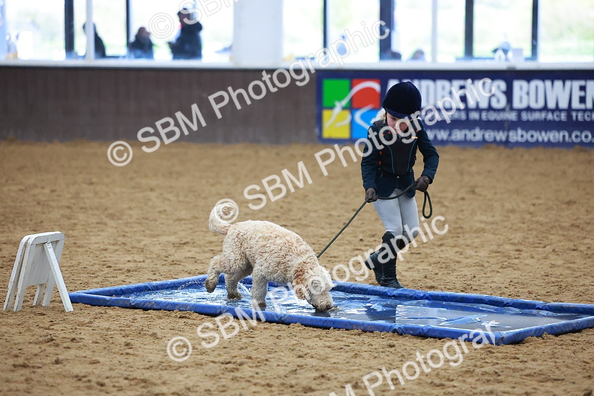 SBM_001596 - Class 3 - Horse & Hound (60cm)