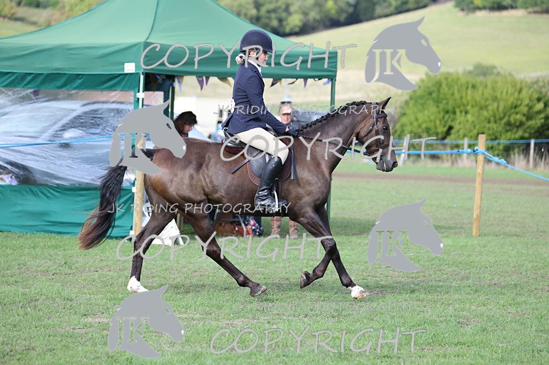 APP_4173 - Class 15a/b Pony club pony/Riding club horse