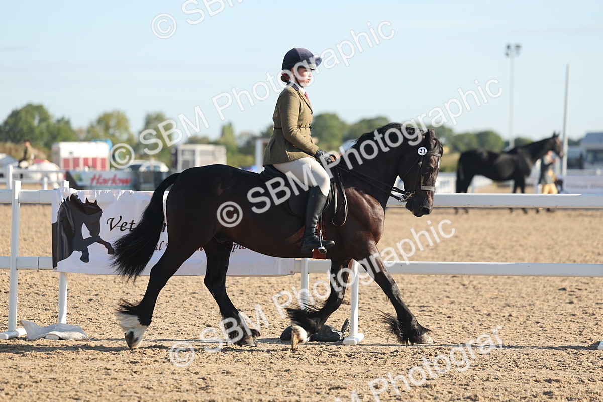 SBM_10961 - Class 302 - Ridden M&M Large Breeds