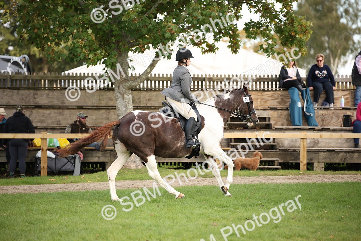 SBM_50193 - S26 - Young Veteran - Ridden