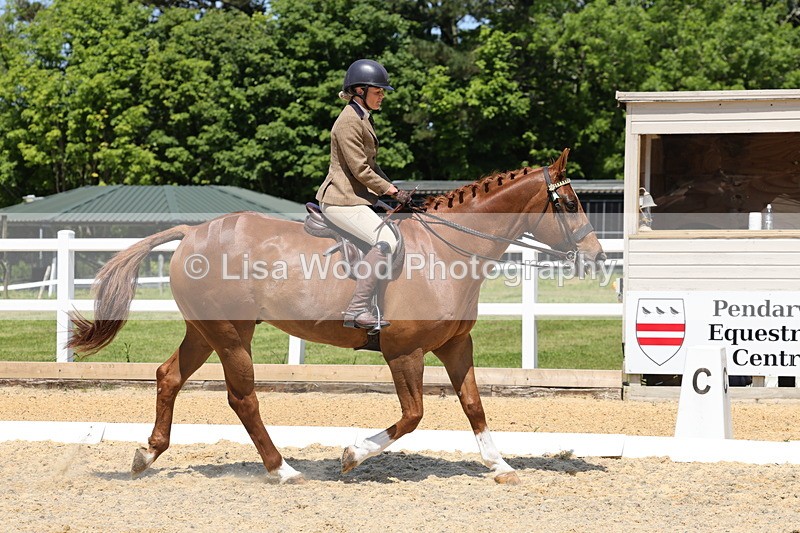 1X9A1819 - Class 12: Ridden Riding Horse/Hack