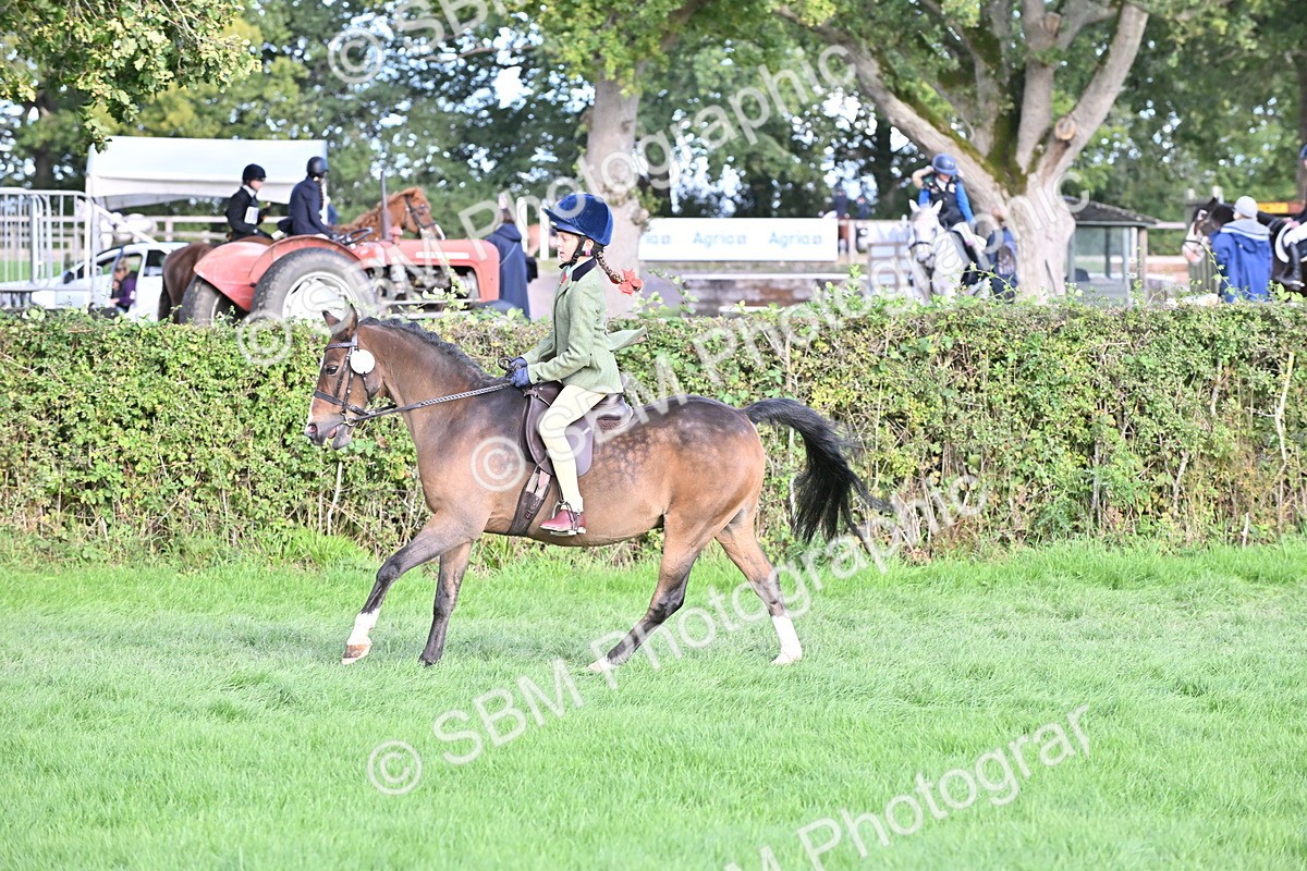 SBM_51243 - S22 - First Ridden show and show Hunter Pony