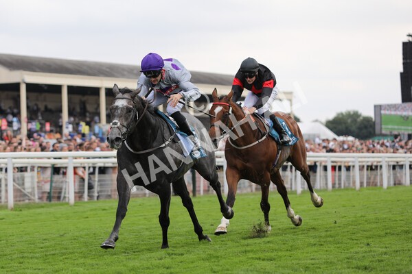yr23072022r6-26 - Race 6 5.00pm Sky Bet Partnership with Support Dogs Stakes