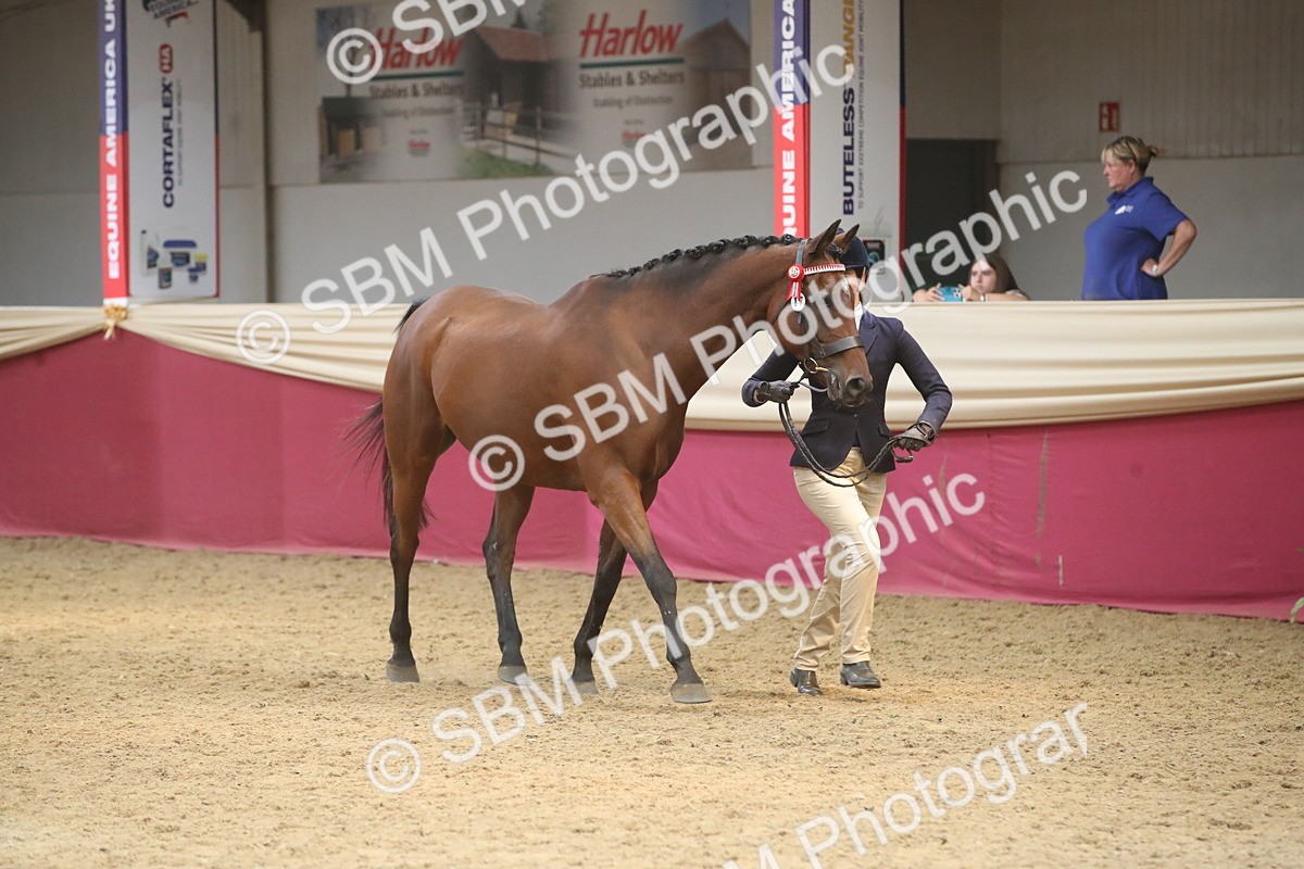 SBM_05537 - Class 9R - Regional IH Pre-Vet