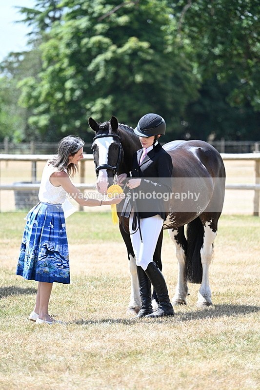 WJ7_2045 - Class 4a Prettiest Mare 14.2hh and over hand
