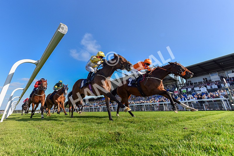 180924-Race 6-Elegant Erin-7541 - Race 6