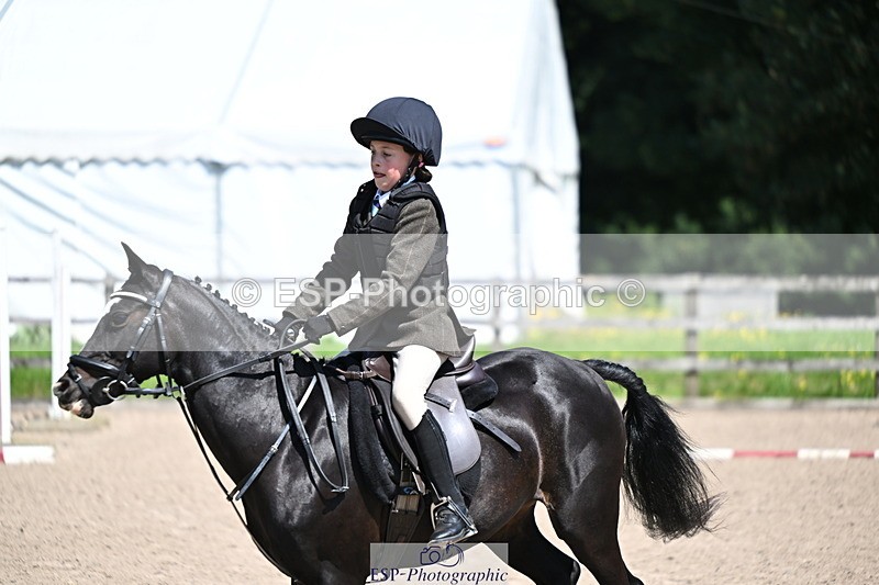 240729B-121153-02601 - Showjumping Competition