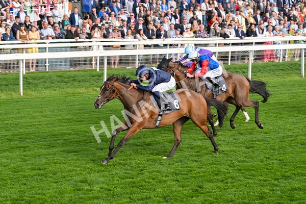210825-Race 7-Royal Velvet-5654 - Race 7 5.20pm British EBF Fillies' Handicap