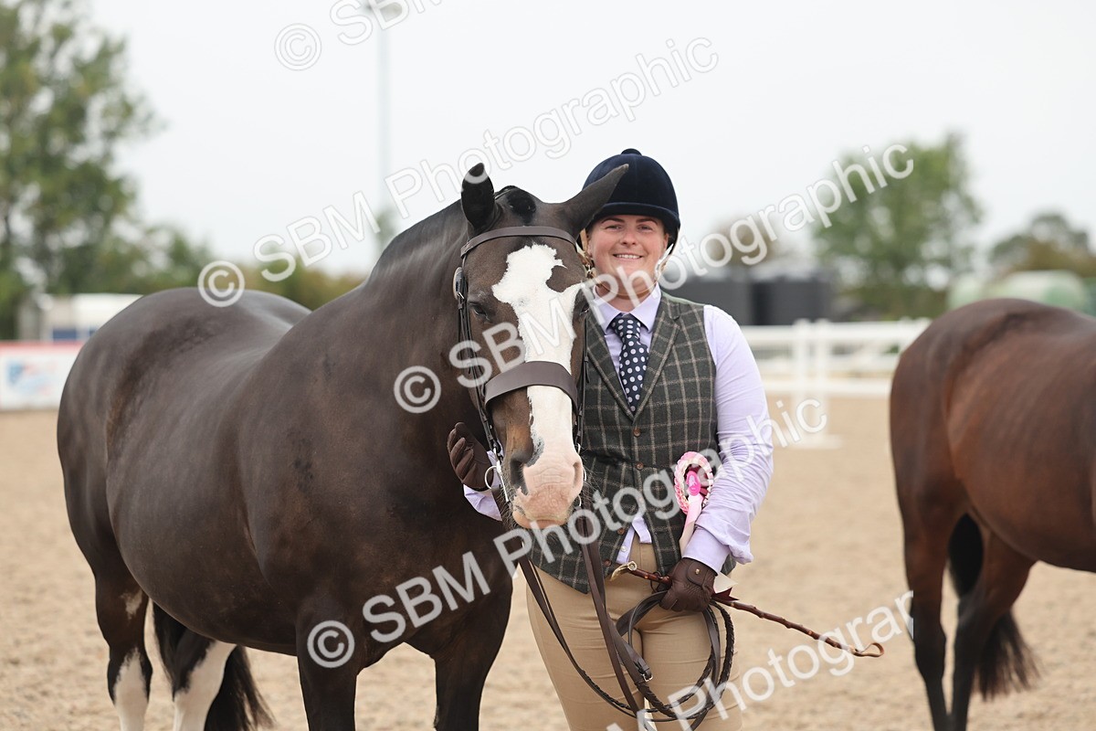 SBM_19902 - Class 318 - IH Part Bred Horse-Pony