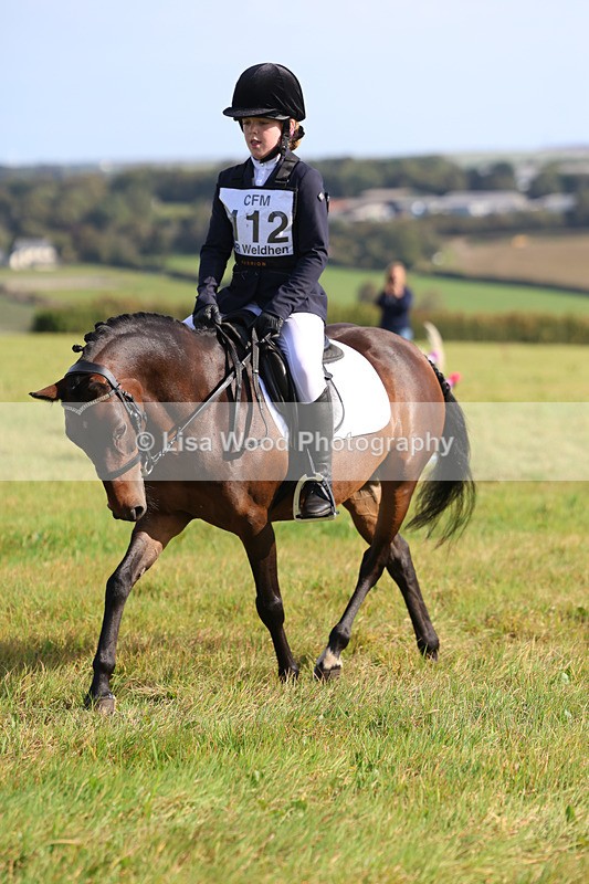3E7A5961 - Class 1: Trebudannon Open: Dressage (Part 2)