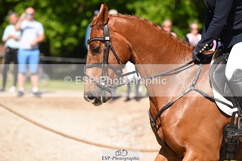 230528-095810-14716 - 251-CLASS_MOVE-Ellie_Healy-SJ