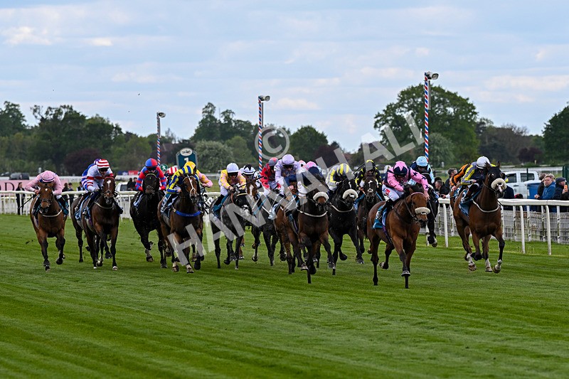 150526-Race 1-Zarathos-6871 - Race 1 1.45pm Yorkshire Equine Practice Handicap