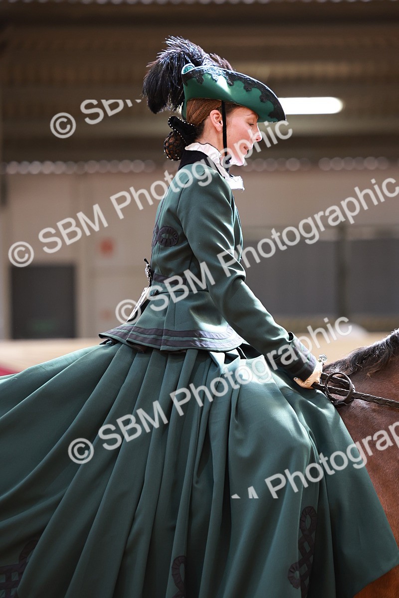SBM_14812 - Class 107 - Ridden Costume - Astride Adult  (20+)