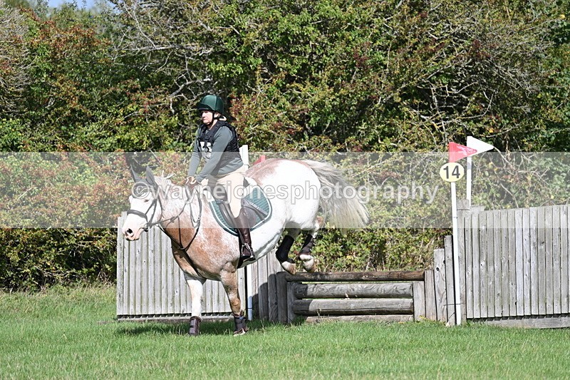 WJ7_8979 - Time 11:10 to 11:53