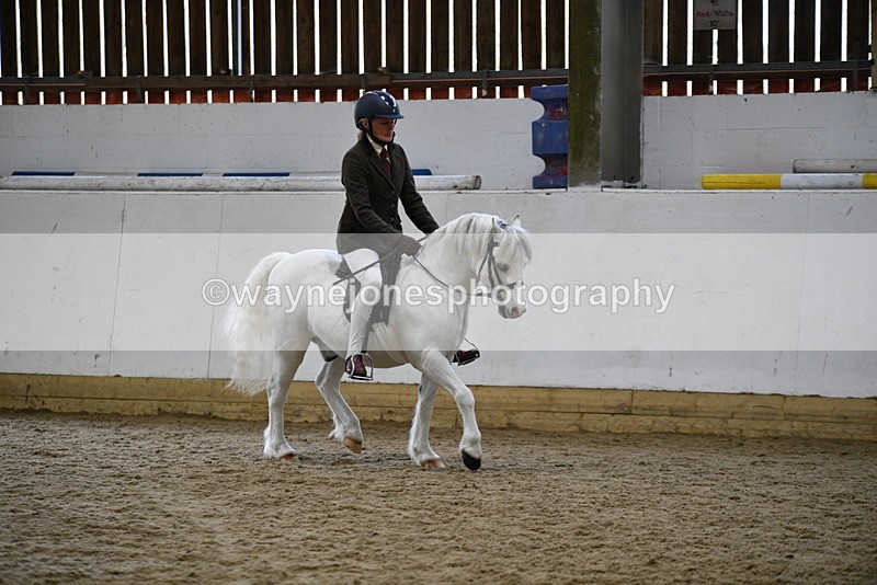 WJ5_6256 - Class 9 Ridden Veteran