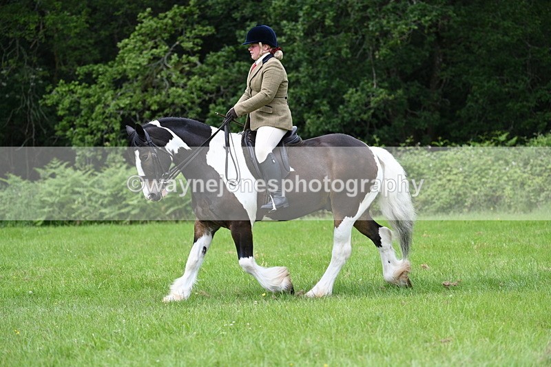 WJ7_2335 - Class 12A Coloured Class