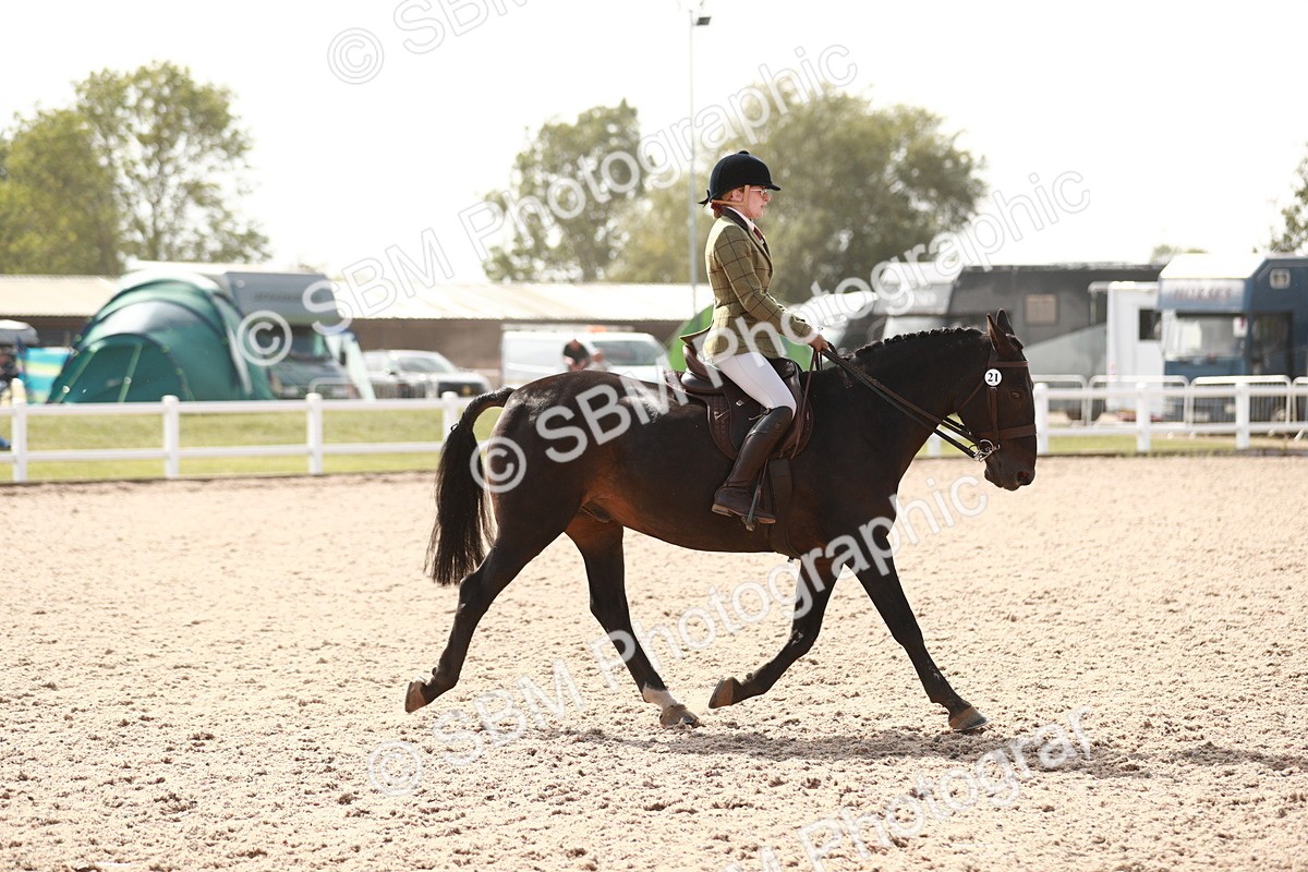 SBM_14843 - Class 212 Ridden Hunter - Small