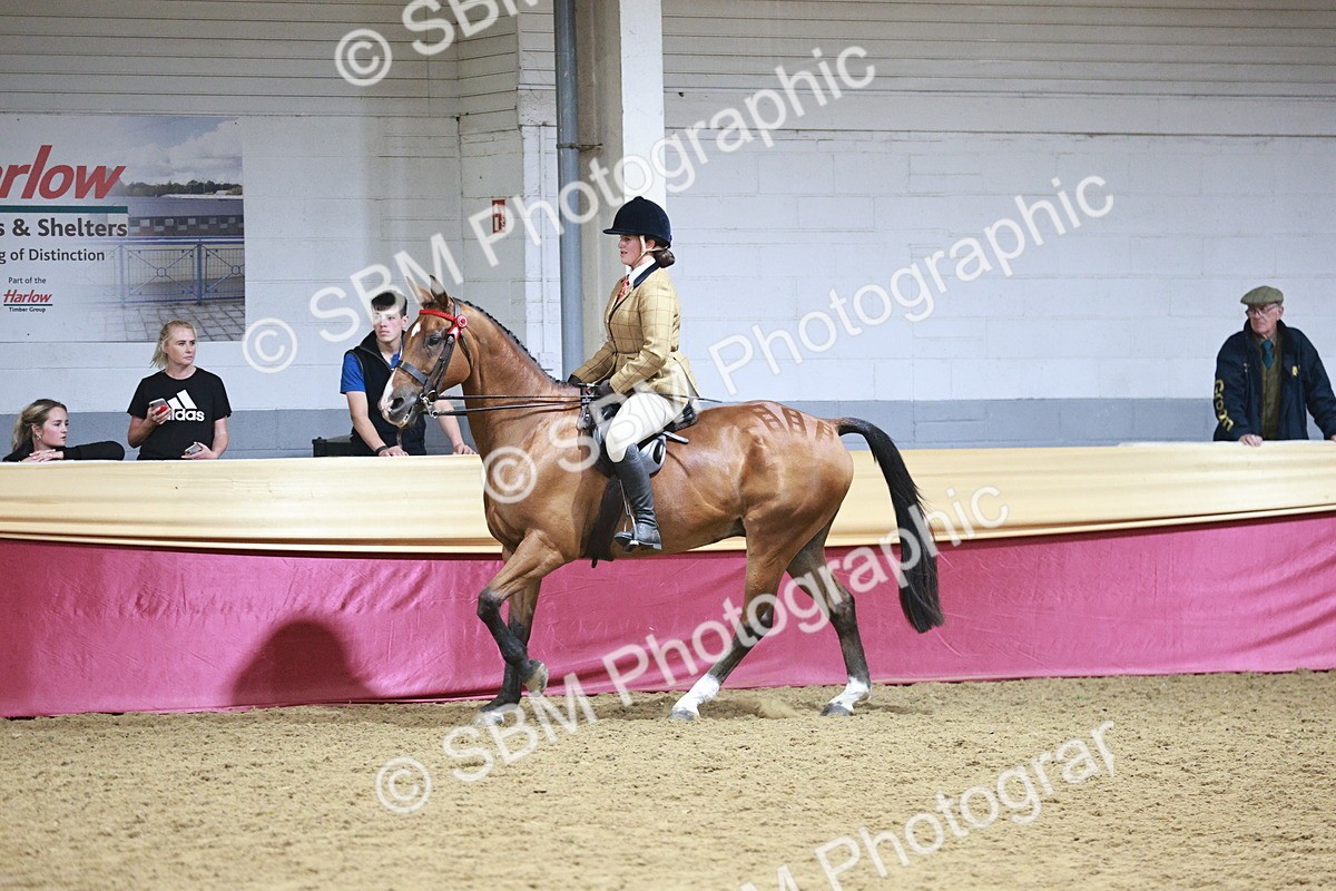 SBM_08186 - Class 11R - Regional Ridden Veteran