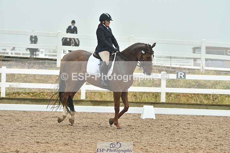 230708A-151015-03003 - Elementary 43