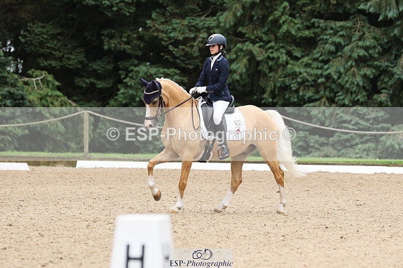 240810-143428-03678 - 301-Sophia.Longworth-Don.Deluxe