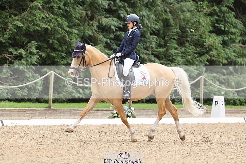 240810-143154-03667 - 301-Sophia.Longworth-Don.Deluxe