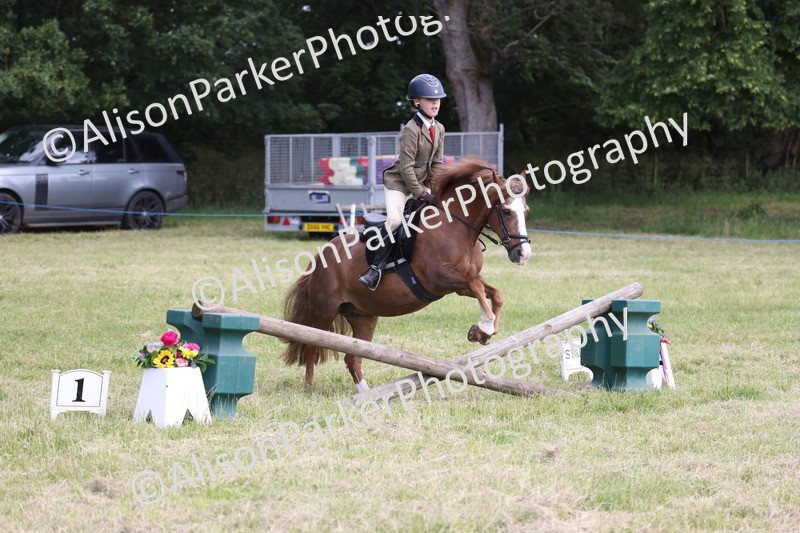 20260614-2068 - Class 21 - Novice Working Hunter Pony