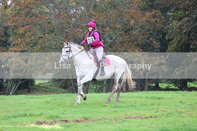 JPP_5200 - Class 2:  70cm: Zig Zag