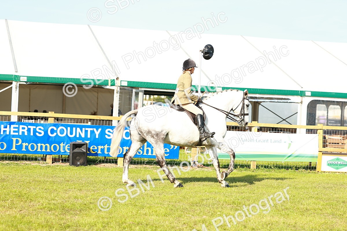 SBM_10733 - Class 66-69 - RIHS Ridden Hunters Inc Small Hunter