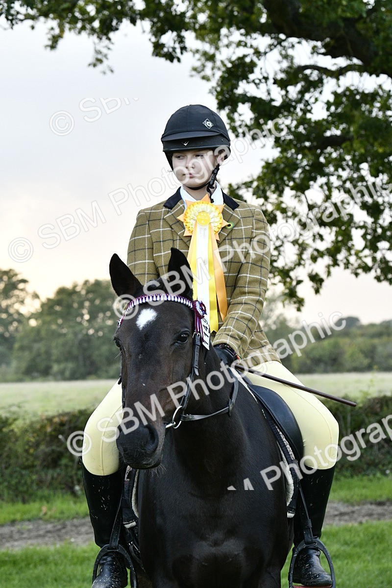 SBM_53627 - S14 - Riding Club Horse