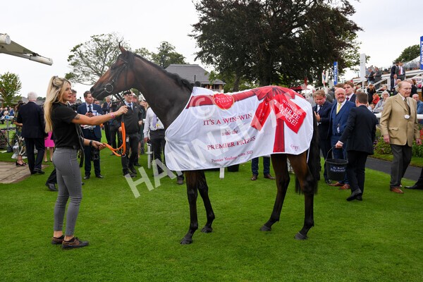 yr19082021r2-46 - Race 2 2.25pm Goffs UK Premier Yearling Stakes