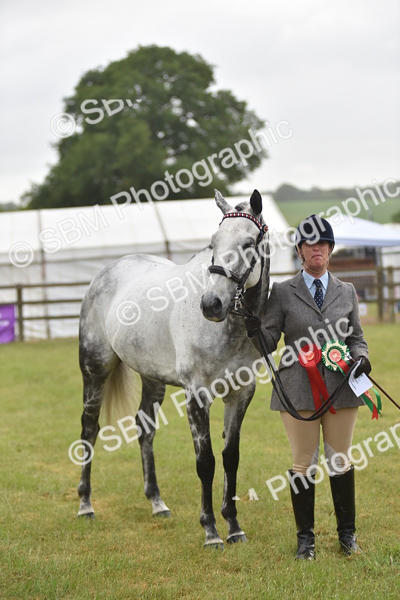 SBM_10669 - Class 109 - Retraining of Racehorses in Hand