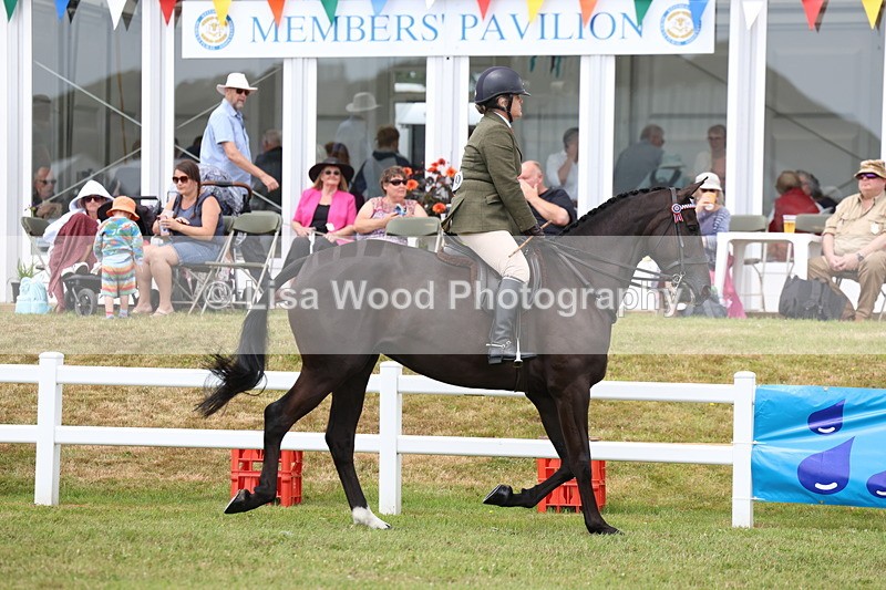 3E7A0819 - Class 8: Open Riding Horse/Hack