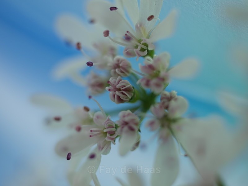  - Nature's Wonders