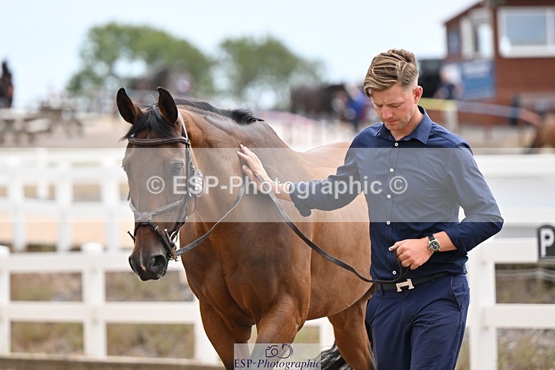 250716-145238-01469 - Trot Up 2.30 to 3.30