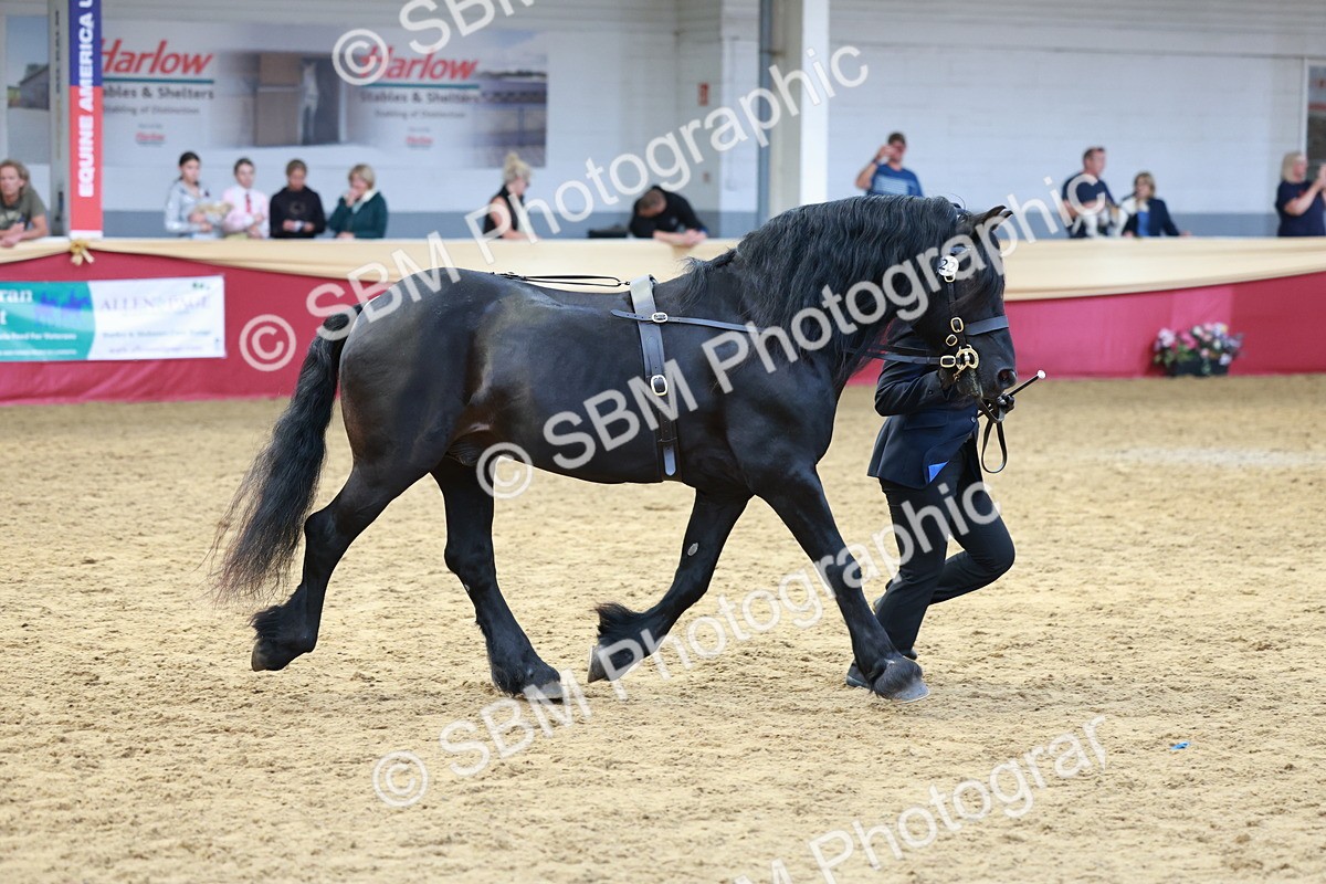 SBM_17491 - Class 951 - M&M IH Supreme Final