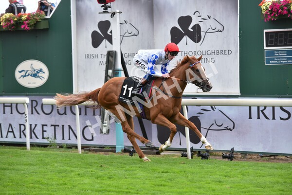 yr17082022r6-26 - Race 6 4.45 pm Celebrate ITM’s 200th IRE Voucher Winner Stakes