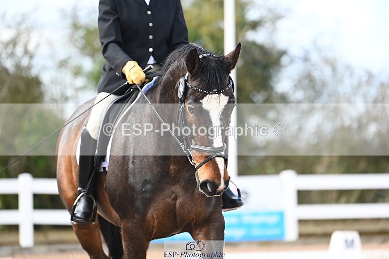 240323A-132827-03106 - UnA Medium 71