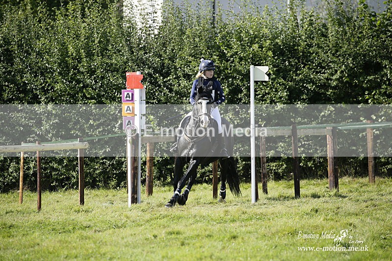  WWHT 031021 1559 - Open Novice (0.80m) 03/10/21