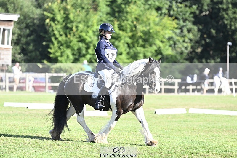 250821A-090304-13145 - DR 9.00 to 10.00