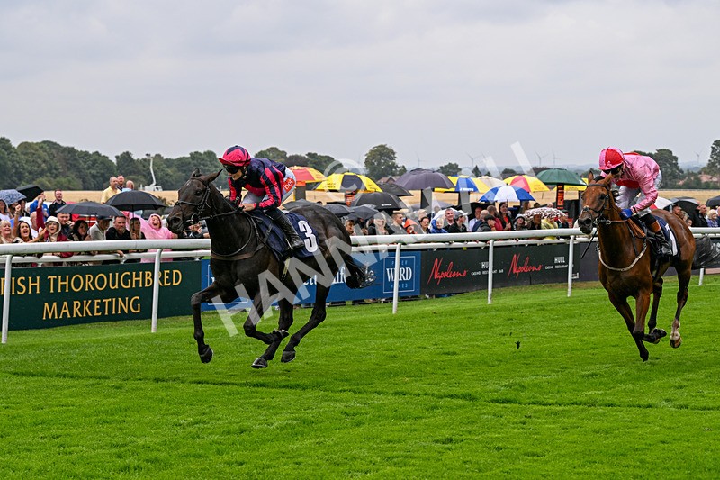 290826-Race 2-Valley Of Flowers-5969 - Race 2 2.20pm Napoleons Casino And Restaurant Hull Handicap