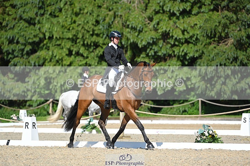 230526-161736-07322 - 255-HI_MR_HENRY-Henry_Hobby-WEDTrotUp+DR