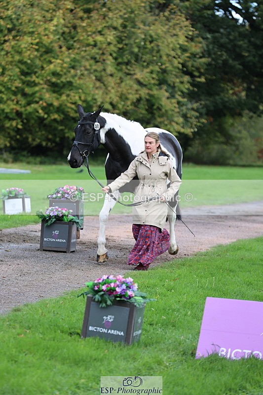 251026A-103752-23149 - G-501-Kathryn.Board