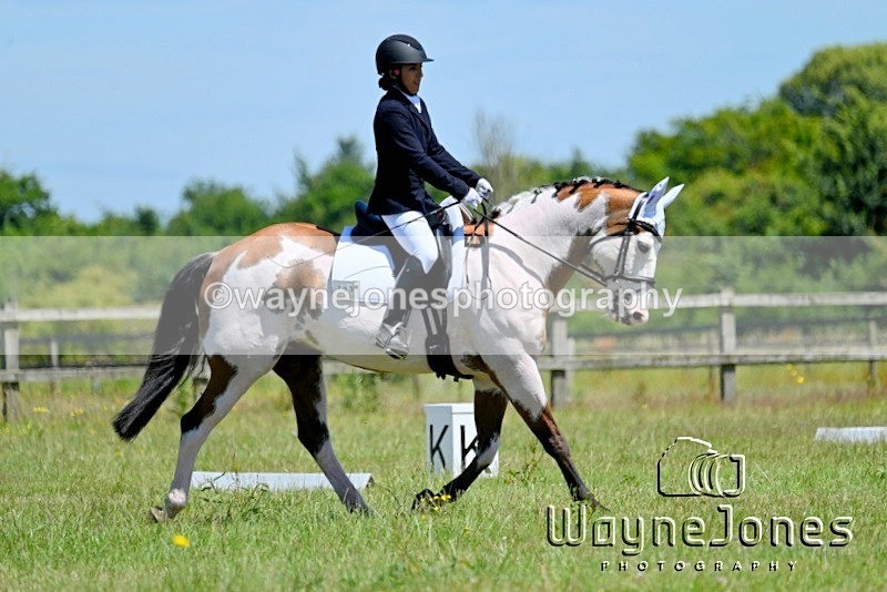 WJ7_2359 - Edited examples