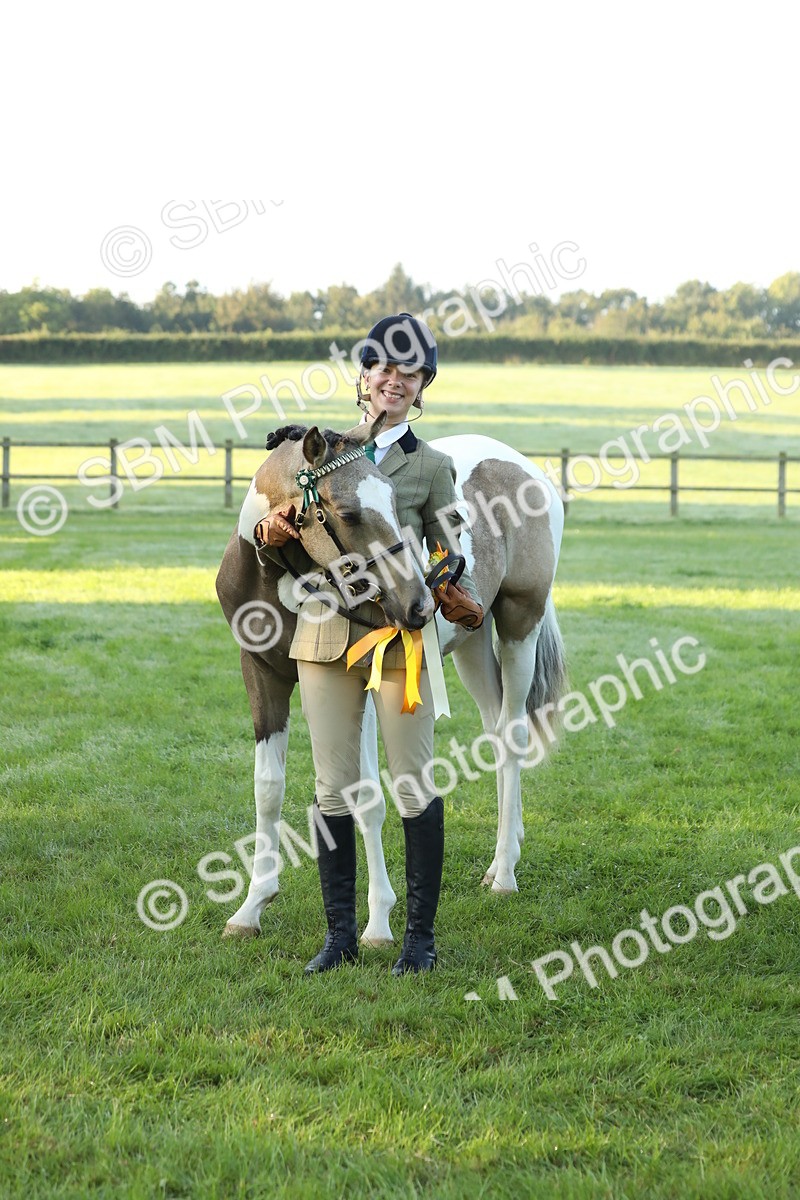 SBM_57867 - S42 - Youngstock